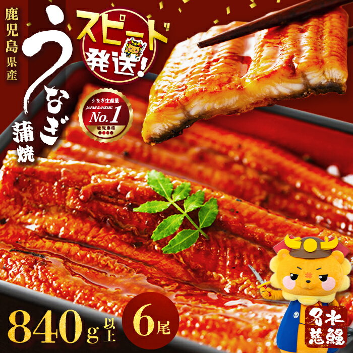 【ふるさと納税】【10営業日以内に発送】うなぎ 養殖日本一！鹿児島県産うなぎ 蒲焼 名水慈鰻 6尾＜計840g以上＞うなぎ 鰻 ウナギ 国産 6尾 蒲焼き かばやき 冷凍 うな重 人気 【鹿児島鰻】