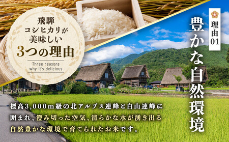 【先行受付】令和8年産新米 飛騨コシヒカリ10kg | 新米 米 ごはん おいしい もっちり 飛騨高山 船場農園 つむぎ果樹園 GH016