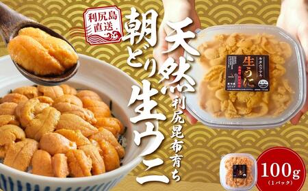 【2026年発送受付】利尻島産「朝どり」塩水生うに100g (100g×1) 天然キタムラサキウニ【6~8月発送分】｜北海道 朝獲れ 天然 塩水  無添加 ミョウバン不使用 [1090029]