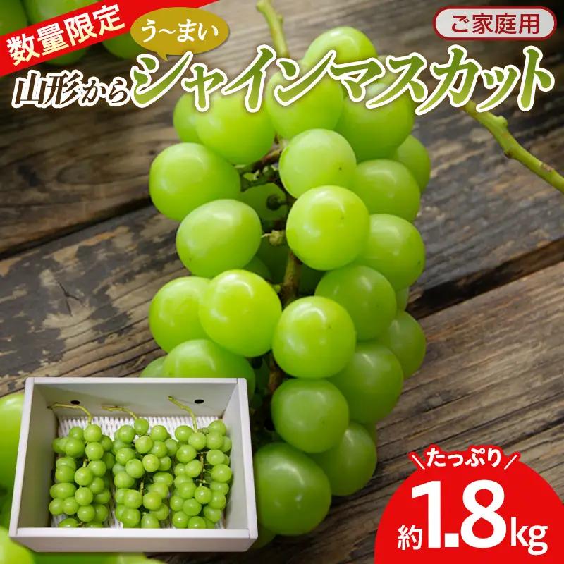 《数量限定》【ご家庭用】山形からう～まいシャインマスカット たっぷり 1.8kgお届け！ FY26-285