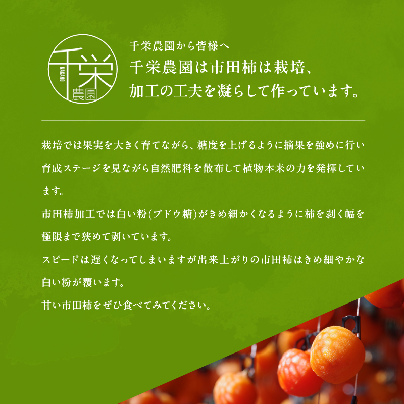 南信州産 市田柿 バラふぞろい 600g×2袋セット |  加工品 ドライフルーツ 果物 フルーツ 柿 市田柿 干し柿 バラ セット ?野県 飯田市 信州 600g×2袋