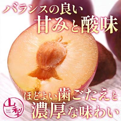 ふるさと納税 笛吹市 【2026年先行予約】農園直送!すもも「レッドビュート」6P 約1.4kg 村松農園 山梨県笛吹市 |  | 01