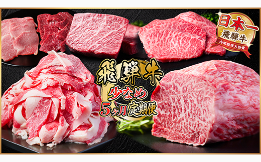 【毎月定期便】飛騨牛 少なめ定期便 計1.8kg 全5回 ステーキ 焼肉 切り落とし 赤身ブロック肉【配送不可地域：離島】