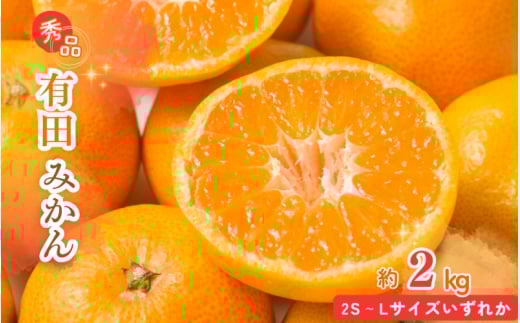 【先行予約】秀品 有田みかん 2kg 2S～Lサイズのいずれか ※2025年11月下旬頃～2026年1月下旬頃に順次発送予定 / みかん ミカン 蜜柑 温州みかん 柑橘 フルーツ 果物 くだもの 和歌山【uot835A】