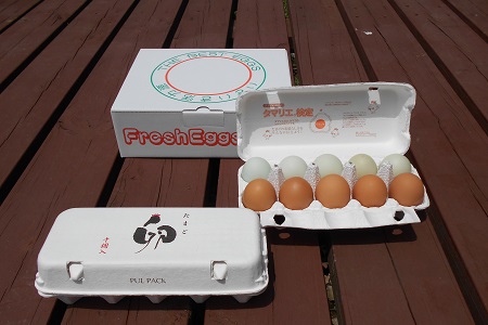江原ファーム　地養卵＆アローカナハーフセット 計20個 割れ補償| 卵 たまご タマゴ  _AG09