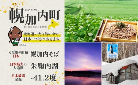 北海道 そばの実 1kg×7袋 蕎麦 ソバ そば 雑穀 国産 グルテンフリー 食物繊維 ビタミン 高タンパク カテキン ミネラル スーパーフード 健康 お取り寄せ 霧立そば製粉 送料無料 麺類 