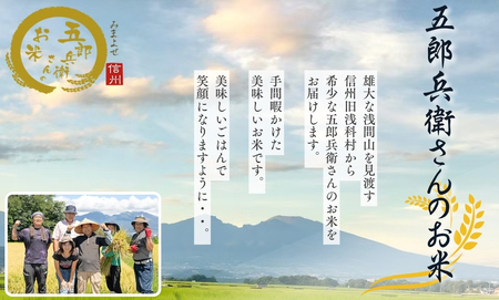 【令和7年産・白米10kg】「五郎兵衛さんのお米」 コシヒカリ | 長野県 信州こしひかり コシヒカリ