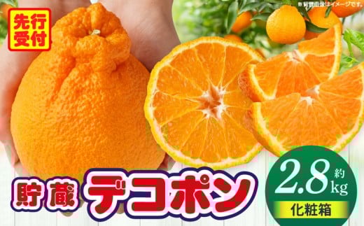 貯蔵デコポン約2.8kg化粧箱(7～12玉)【香川県共通返礼品】 | デコポン 甘い 酸味 柑橘 柑橘系 果物 フルーツ 青果 デザート グルメ おすすめ 贈答 贈り物 贈答用 ギフト プレゼント 特産品 特産 取り寄せ 香川県 三木町 |_mk006-051