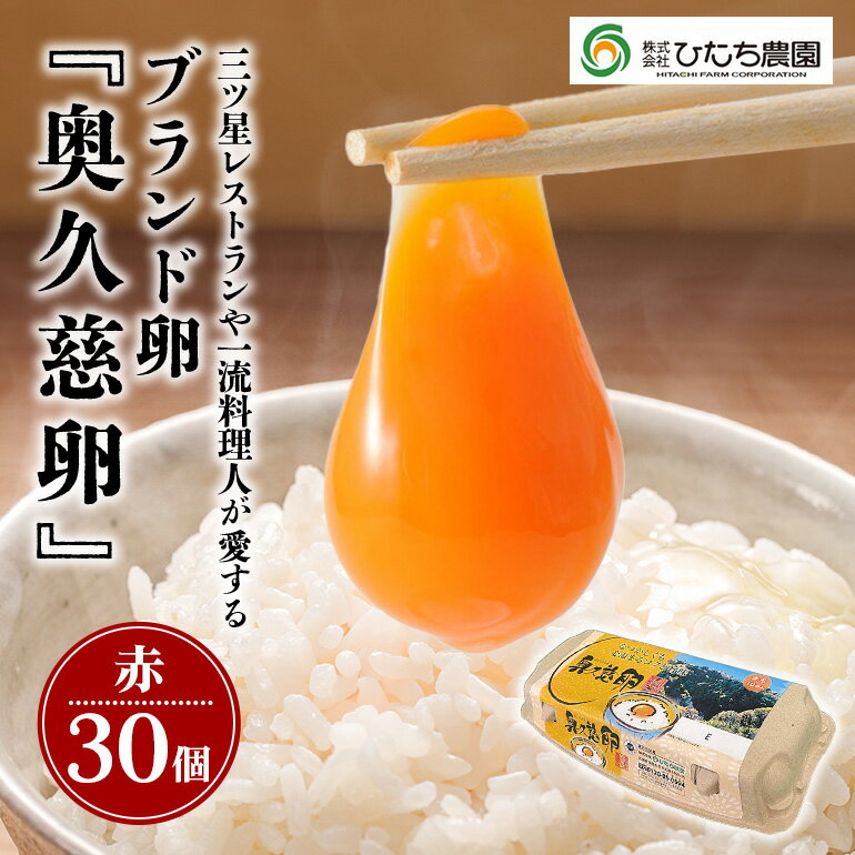 【ふるさと納税】 三ツ星レストランや一流料理人が愛するブランド卵『奥久慈卵』赤 30個 たまご タマゴ 鶏卵 玉子 卵 ミネラル 冷蔵便 茨城県 新鮮 臭みのないおいしい卵 赤卵 食品 普段使い用 パック包装 産地直送 養鶏場直送 【（株）ひたち農園】 【ho1312】