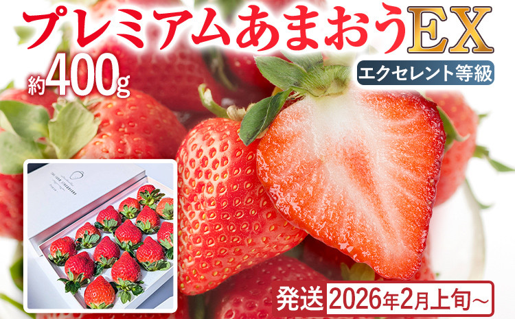 
            プレミアム あまおう EX（化粧箱入り）いちご フルーツ 果物 あまおう 約400g×1パック 福岡 苺 イチゴ 化粧箱 【発送時期2026年2月上旬～2026年4月上旬】
          