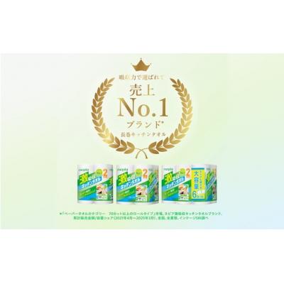 ふるさと納税 春日井市 【定期便】3回発送 (4か月おきに) ネピア激吸収キッチンタオル4ロール100カット×12パック |  | 01