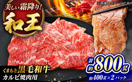 くまもと黒毛和牛 和王 カルビ 焼肉用 計約800g BHBQ011 カルビ