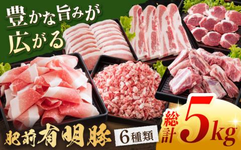 肥前有明豚 6種 バラエティセット 総計5kg【くすのきファーム】 [NAS002] 豚肉 切り落とし ミンチ 豚肉バラエティセット 豚肉 切り落とし ミンチ 豚肉バラエティセット