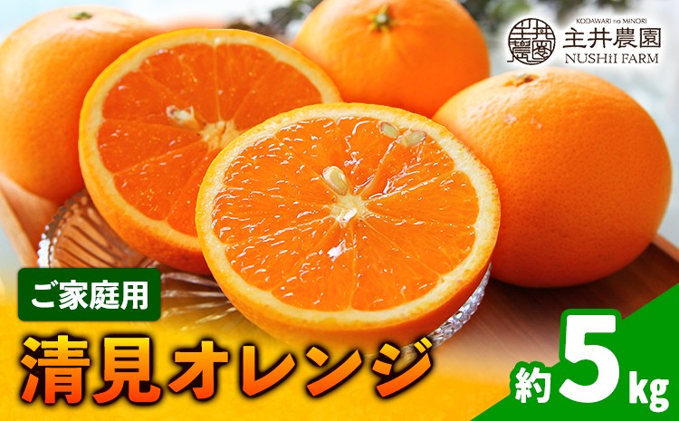 
                  【先行予約】清見オレンジ ご家庭用 約 5kg 主井農園《2月下旬-3月中旬頃出荷》 和歌山県 日高町 清見 オレンジ 訳あり 家庭用 果物 訳あり オレンジ 訳あり清見オレンジ みかん 柑橘 送料無料
                