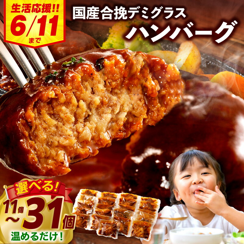 【ふるさと納税】【内容量と発送時期が選べる】【期間・数量限定】合挽デミグラスソースハンバーグ11個・22個・31個 ハンバーグ デミグラス ランキング 人気 惣菜 小分け おすすめ 肉 豚 牛 合挽 豚肉 牛肉 お肉 ミヤチク デミグラスハンバーグ《レビューキャンペーン》