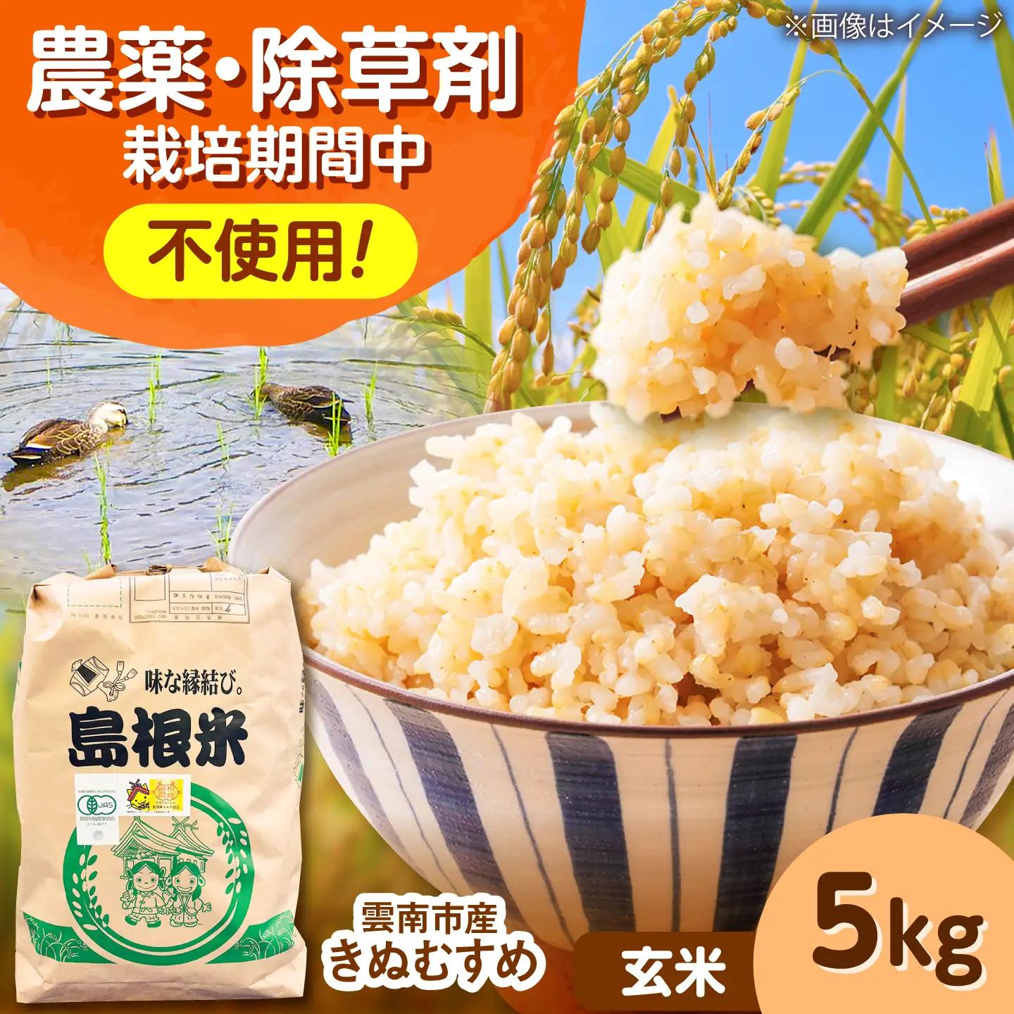 【有機JAS認証】有機栽培米きぬむすめ 5kg 令和7年産 玄米 島根県雲南市/佐藤ファーム[AIEO006]