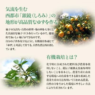 ふるさと納税 西都市 「銀の柚子」PREMIUM有機ゆず製品詰め合わせ【かぐらの里】[2740] |  | 02