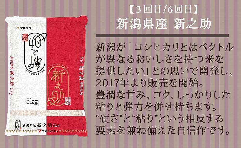 【定期便全6回】新潟県産米厳選食べ比べ 5kg（受注の翌月から毎月配送）｜新潟県　新潟　佐渡　佐渡産　コシヒカリ　こしひかり　魚沼産　魚沼　新之助　おこめ　お米