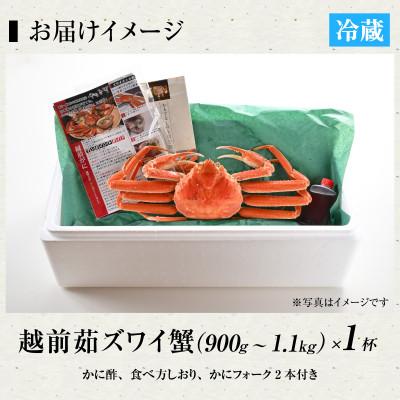 ふるさと納税 福井市 【2-3月発送予定】老舗カニ料理店の「越前茹でずわいがに」大1杯(900g〜1.1Kg) |  | 03