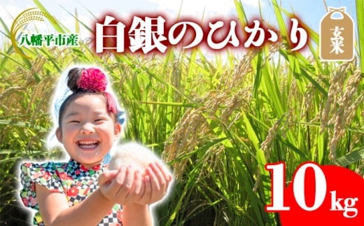 【令和7年産】 白銀のひかり  （岩手141号）  玄米 10kg ／ かきのうえ こめ 米 コメ お米 おこめ ご飯 御飯 ごはん げんまい げん米 おにぎり お弁当 仕送り お取り寄せ 産地直送 単一原料米 国産 国産米 東北 岩手県産 八幡平市産 数量限定 おすすめ オススメ おいしい 美味しい