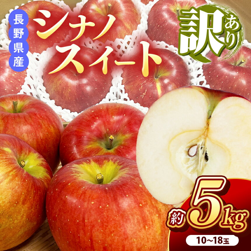 【ふるさと納税】 南信州産 シナノスイート 訳あり 約5kg 10～18玉 JAみなみ信州DMセンター飯田市 | シナノスイート 林檎 りんご アップル つがる ふじ 果物 フルーツ 南信州 送料無料 ふるさと納税 長野県 飯田市 K13