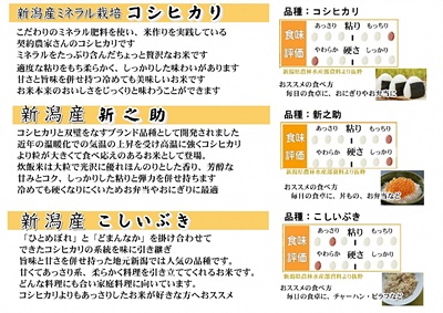 新潟人気米セット計6kg (コシヒカリ・新之助・こしいぶき各2kg)  井上米穀店 1I09009