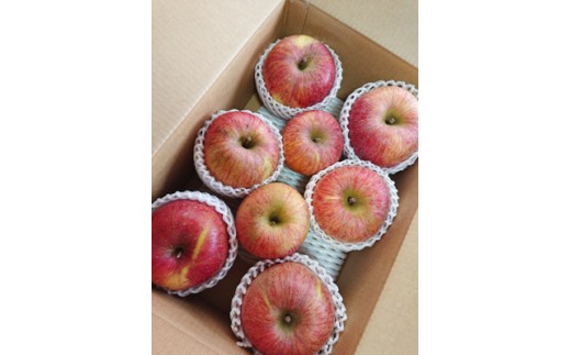 【２０２７年１月～発送】りんご（葉とらずサンふじ）３ｋｇ　ご家庭用　0075-2614