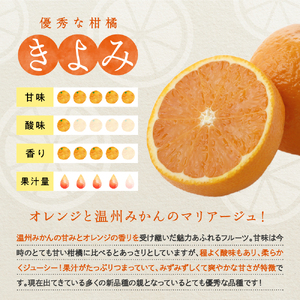 先行受付 2027年3月上旬～発送 の清見オレンジ 約10kg 柑橘