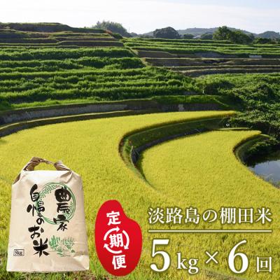 ふるさと納税 淡路市 【定期便】淡路島の棚田米 5kg×6回(毎月発送)　ae01084