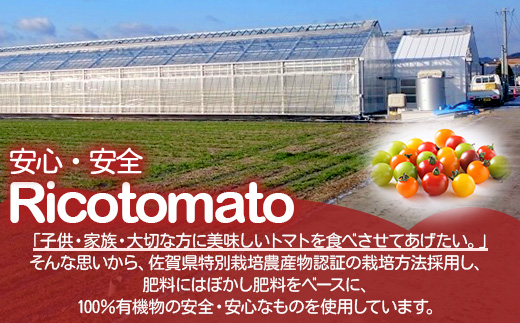 たにぐちファーム カラフルミニトマト 約1kg 『Ricotomato とりこになるトマト』 B-280