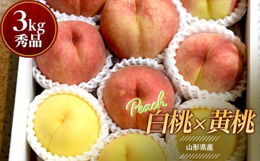 《先行予約 2025年8月中旬発送》山形県産 白桃×黄桃 秀品 約3kg  もも モモ 桃 デザート フルーツ 果物 くだもの 果実 食品 山形県 FSY-0757