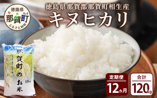 【定期便12回】那賀町のお米 キヌヒカリ10kg［徳島 那賀 国産 お米 こめ おこめ 米 10kg 10キロ 精米 ご飯 ごはん 白米 はくまい 白ごはん 白ご飯 和食 おにぎり お弁当 きぬひかり キヌヒカリ 父の日 敬老の日 お中元 お歳暮 ギフト プレゼント 送料無料］【YS-20】