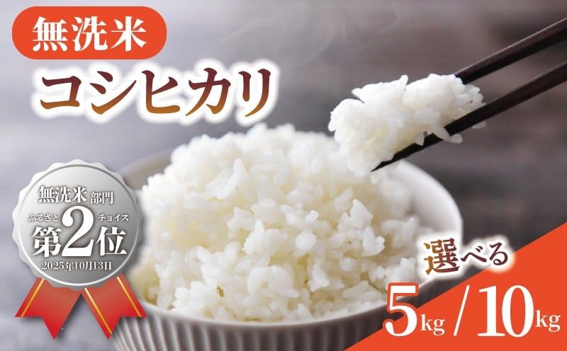 
            【 令和7年産 】 無洗米 米 コシヒカリ 選べる 5kg 10kg 新米 精米 白米 2025 7年産 お米 ご飯 無洗 むせんまい こめ コメ kome ごはん ライス こしひかり 家庭用 備蓄 防災 お弁当 産地直送 送料無料 国産 千葉県産 ふるさと納税 千葉 千葉県 旭市 BANJYO farm bnj
          