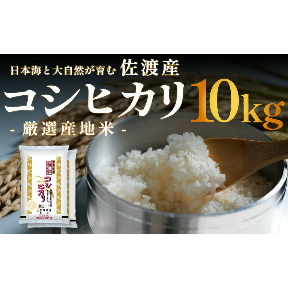 【ふるさと納税】米 コシヒカリ 10kg 5kg×2 令和7年産 佐渡産 白米 こしひかり 国仲平野 五ツ星お米マイスター精米 ごはん おにぎり お弁当 新潟県 佐渡市