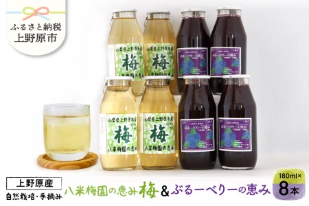 ＼＼先行予約／／八米梅園の恵み&ブルーベリーの恵み(180ml×8本) 梅ジュース ブルーベリージュース 180ml×8本（各4本） 無添加 自然栽培 八米梅園 国産 保存料不使用 梅果汁入り 濃厚 飲料 ドリンク 美味しい 瓶 夏ギフト 贈り物 お取り寄せ 山梨県産 上野原市