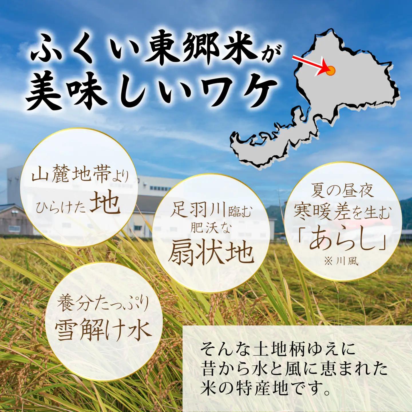 【無洗米】令和7年産 ふくい東郷米 有機JASコシヒカリ 6kg [C-020030_03]/ 白米 玄米 無洗米 有機適合肥料100% 真空パック もっちり 甘い 安全 米 こしひかり 国産 福井県
