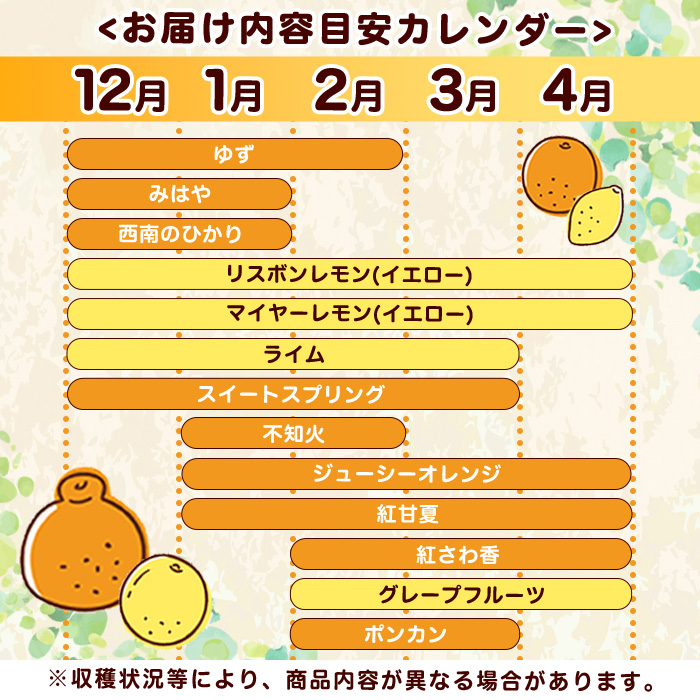 ＜3月発送分！＞旬の柑橘詰合せセット (約10kg) 国産 柑橘 果物 フルーツ 柑橘 ミカン 旬 詰合せ セット【桐野柑橘株式会社】a-24-46-m03-z