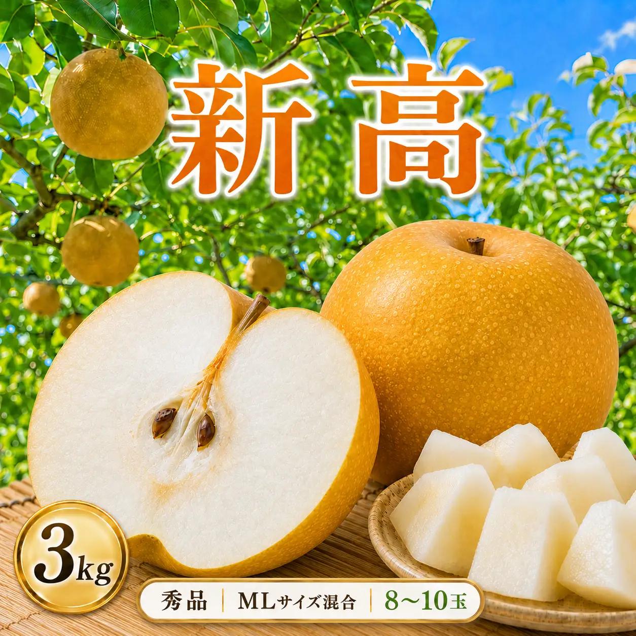 【2026年先行予約】秀品 新高 約3kg 梨 栃木県共通返礼品(栃木県産)