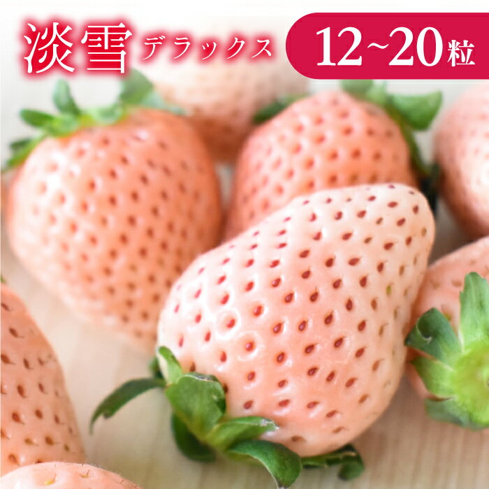 【ふるさと納税】 【1～4月発送】いちご　淡雪DX　1箱（12～20粒）