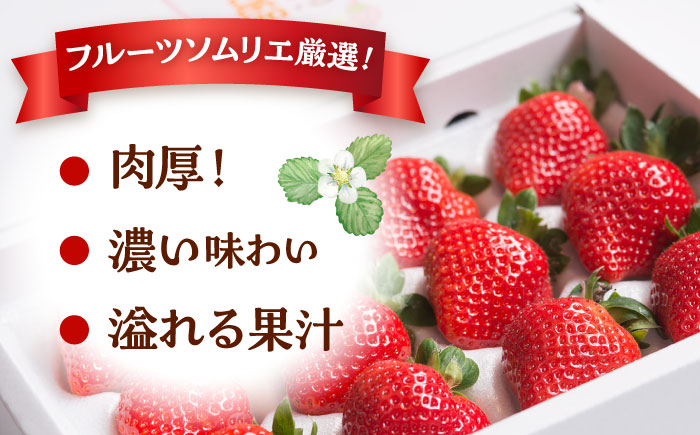あまおう 博多 福岡 イチゴ 苺　ストロベリー