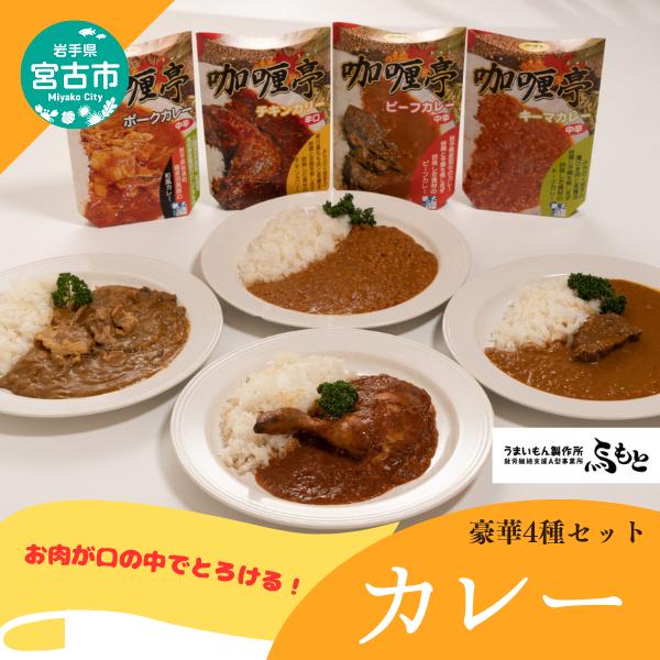 【宮古市】レトルトカレー4点セット