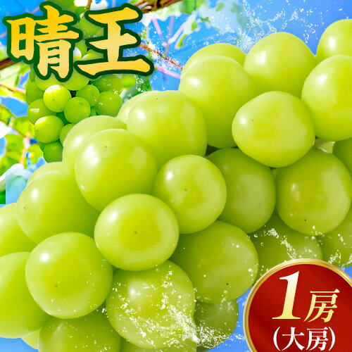 【ふるさと納税】【2025年発送】究極のシャインマスカット「晴王」1房（大房）約700g 株式会社 備前の夢《9月中旬-10月上旬頃出荷》岡山県 備前市 シャインマスカット マスカット 晴王 ぶどう 果物 フルーツ