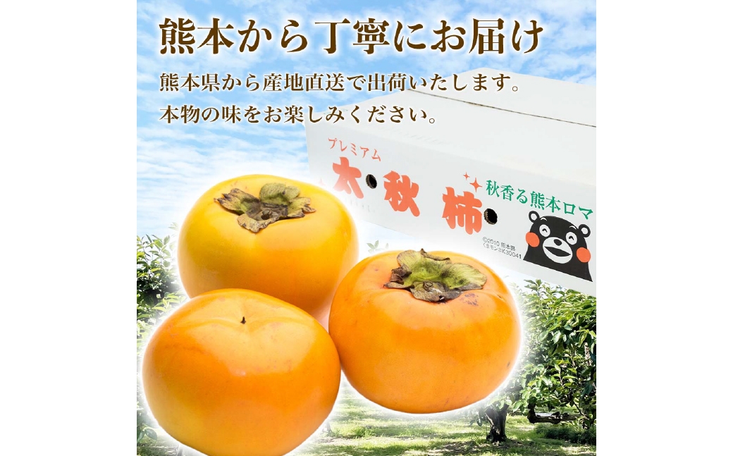 太秋柿約3kg（8～15玉）