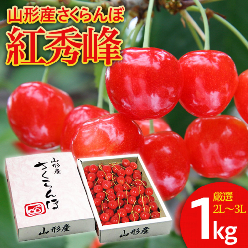 さくらんぼ 紅秀峰 ”希少な大粒” 厳選 2L～3L 1kg入り1箱 【令和9年産先行予約】FS25-565