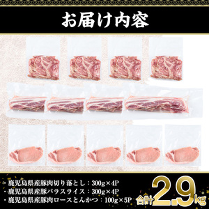 鹿児島県産豚肉3種(切り落とし・バラスライス・とんかつ)セット(合計2.9kg)  豚肉 切り落とし スライス【株式会社羽根】A727