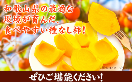 【秋の味覚】 和歌山 産 の たねなし 柿  ご家庭用 約 7.5kg 厳選館 《2024年9月下旬-11月中旬頃出荷》 和歌山県 日高川町 柿 カキ かき ジューシー フルーツ たねなし