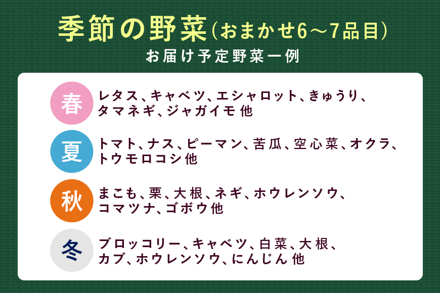 ＜ハーフサイズ＞ 『身体が喜ぶ野菜』詰め合わせ ( おまかせ ) 野菜 詰合せ 詰め合わせセット お任せ 季節の野菜 セット 栽培期間中農薬不使用 有機栽培 微生物農法 EM農法 露地栽培 産地直送 