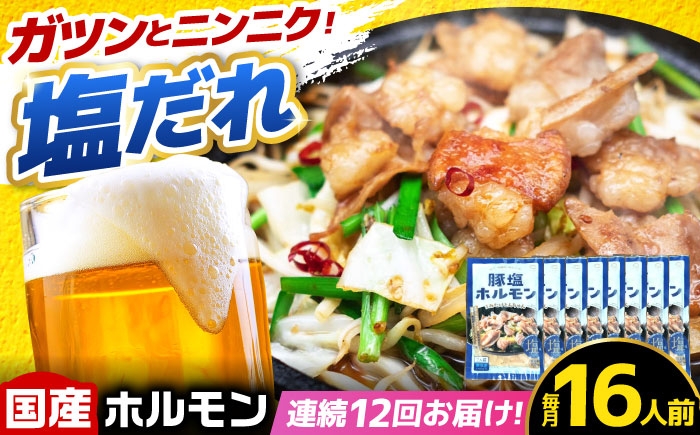 
                  【12回定期便】岐阜県産豚もつの鉄板焼き「元祖みたけとんちゃん」豚塩味 8袋（16人前） / モツ もつ 白もつ ホルモン / 御嵩町 / 藤よし [AVAA081]
                