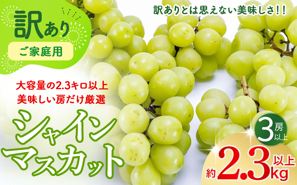 【☆先行予約☆2025年発送】訳あり 2.3kg 3房以上 シャインマスカット 先行予約 山梨県産 国産 産地直送 人気 おすすめ 贈答 ギフト お取り寄せ フルーツ 果物 くだもの ぶどう ブドウ 葡萄 わけあり ワケアリ 新鮮 甘い 皮ごと 甲斐市 BI-1