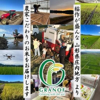 ふるさと納税 鶴岡市 【令和7年産】山形県鶴岡産 Gセレクション 雪若丸 白米 6kg |  | 03